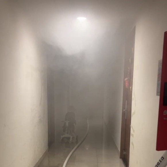 Chay chung cu Flora Fuji anh 1