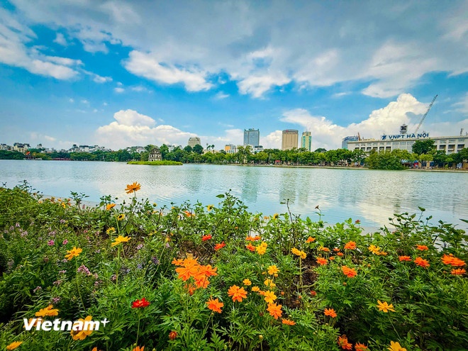 Bao Fung-Wong Bao 14 anh 2