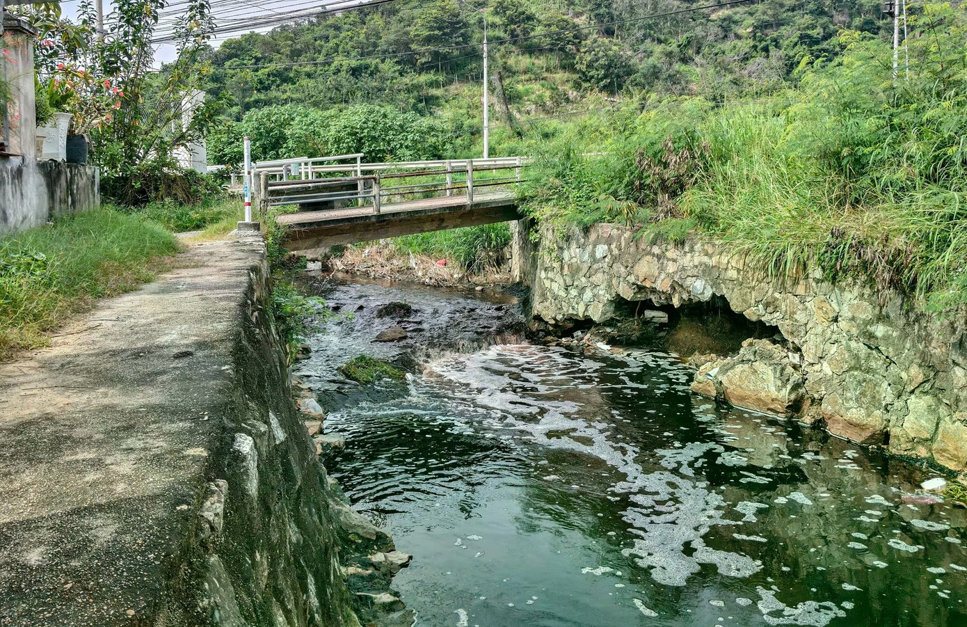 Rac ra bien Nha Trang anh 2