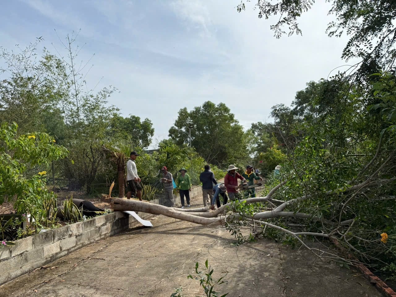 Cuong che Resort Mui Ne anh 3