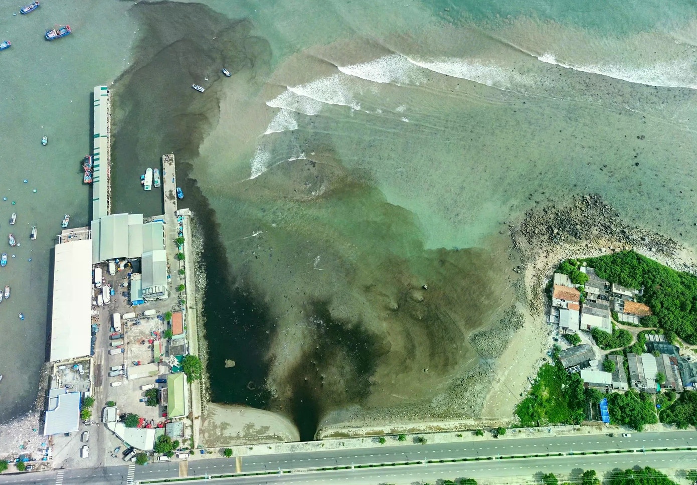 Rac ra bien Nha Trang anh 3