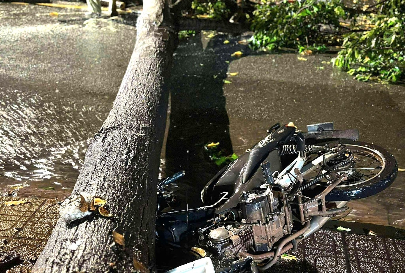 Mua dong lon, cay do la liet de bep xe may o TP.HCM hinh anh