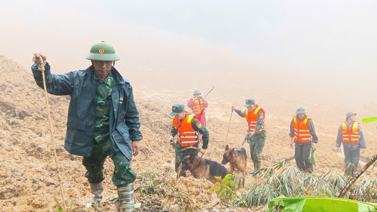 Sat lo Da Nang anh 6