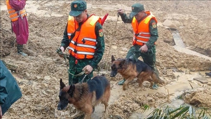 Dua canh khuyen tim nguoi mat tich trong vu sat lo o Da Nang hinh anh