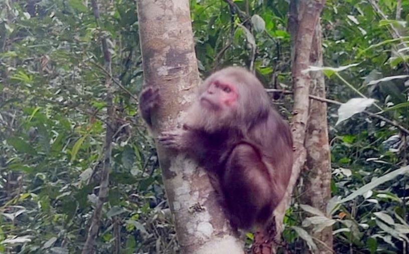 Giao nop khi mat do va khi moc quy hiem o Nghe An hinh anh