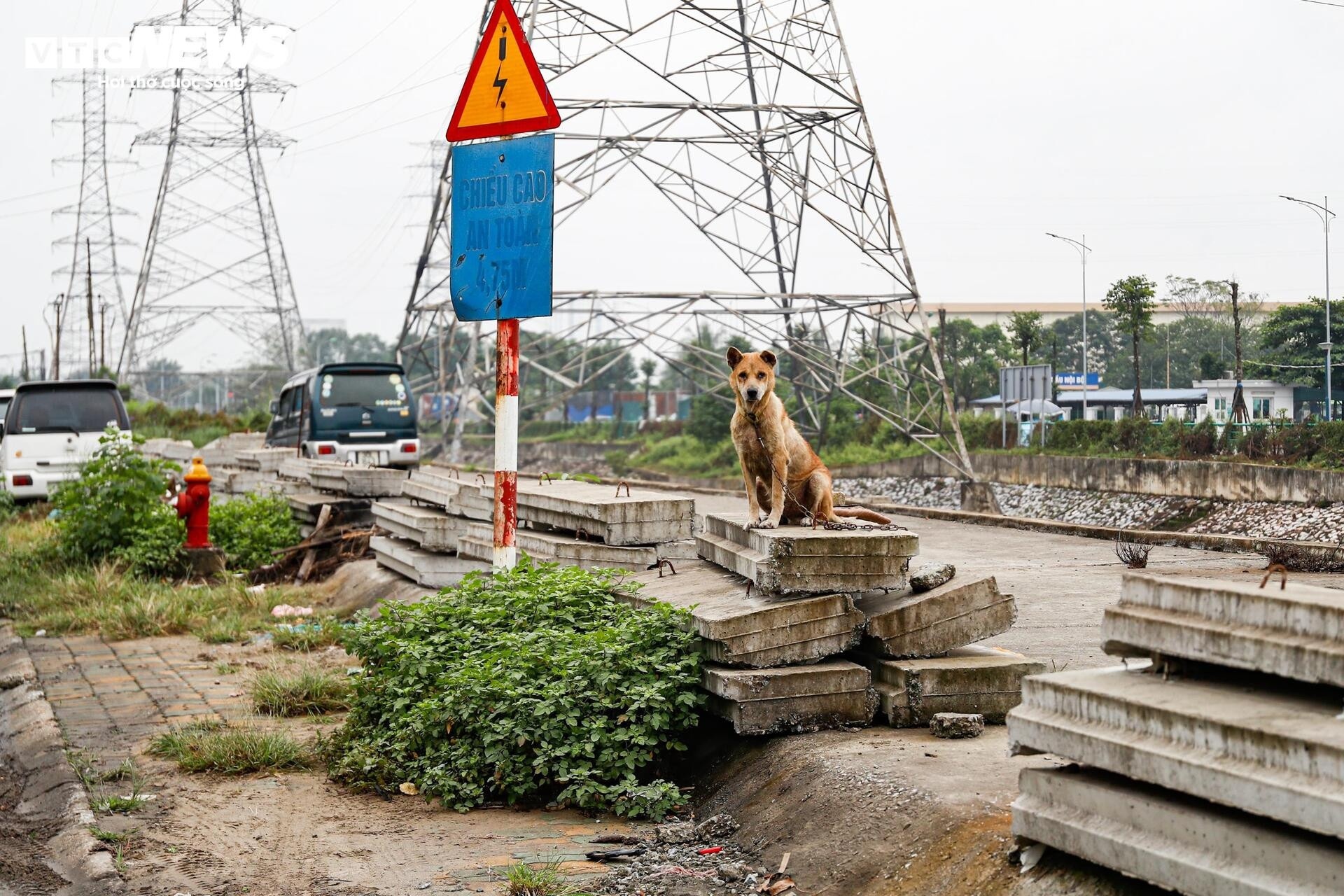 mở rộng đường Tam Trinh ảnh 9 mo rong duong Tam Trinh anh 9