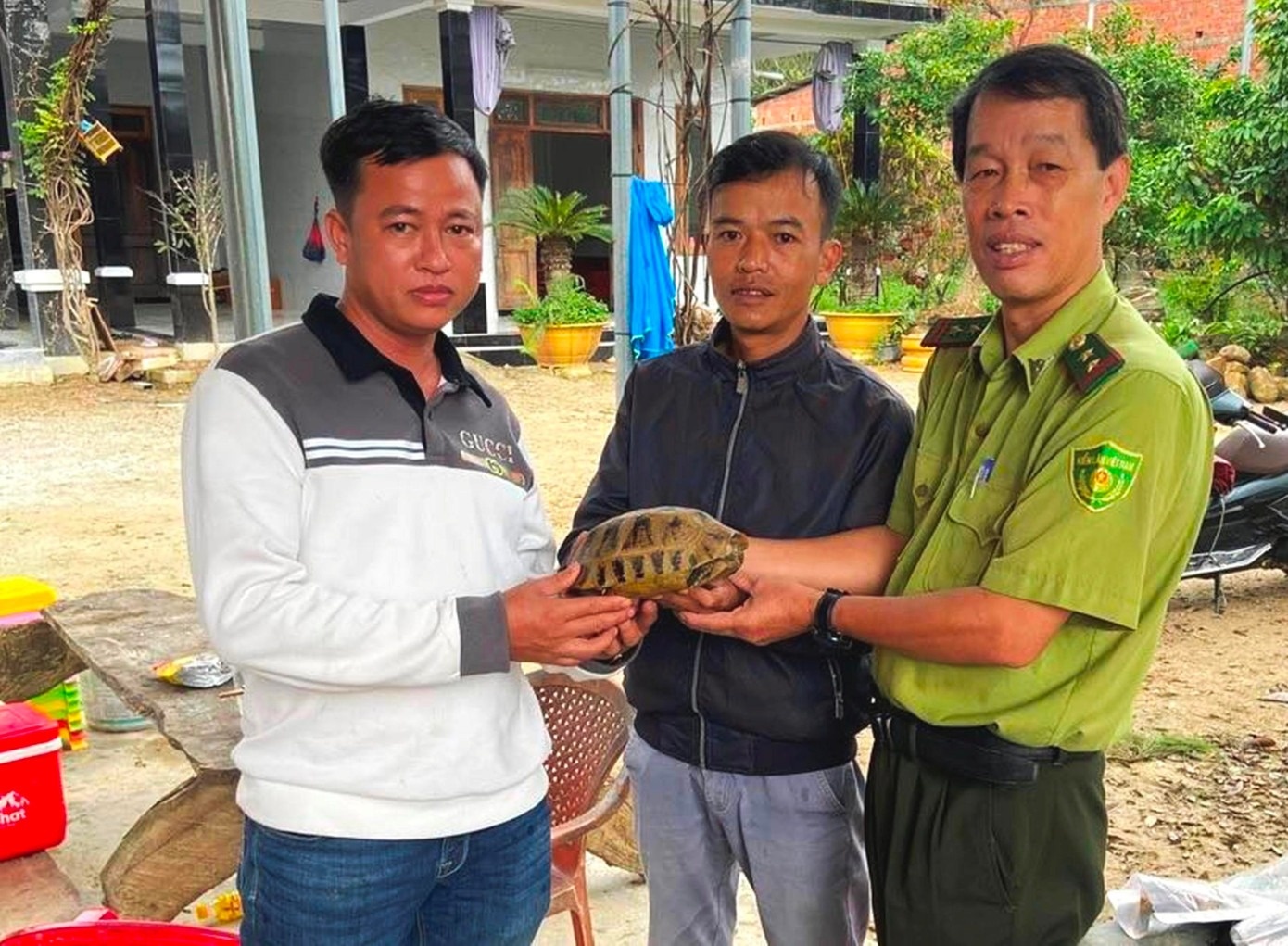 Sau mua lu, Kiem lam Hue lien tiep tiep nhan nhieu ca the dong vat quy hinh anh