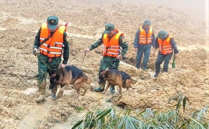 Tam dung tim kiem 3 nan nhan mat tich trong vu sat lo nui o Da Nang hinh anh