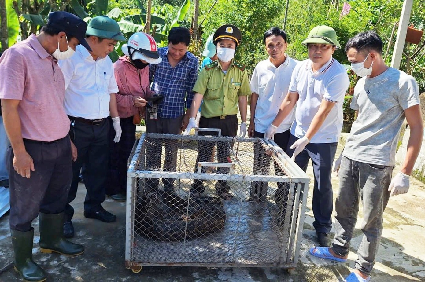 dong vat quy hiem anh 3