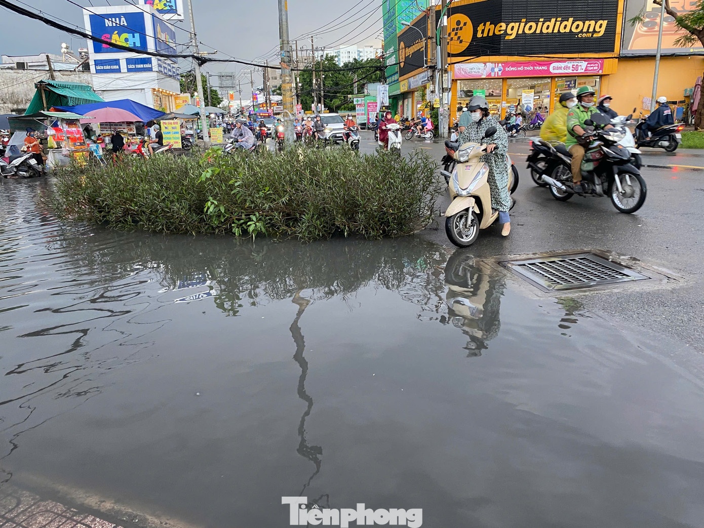 Trieu cuong TP.HCM dang cao anh 2