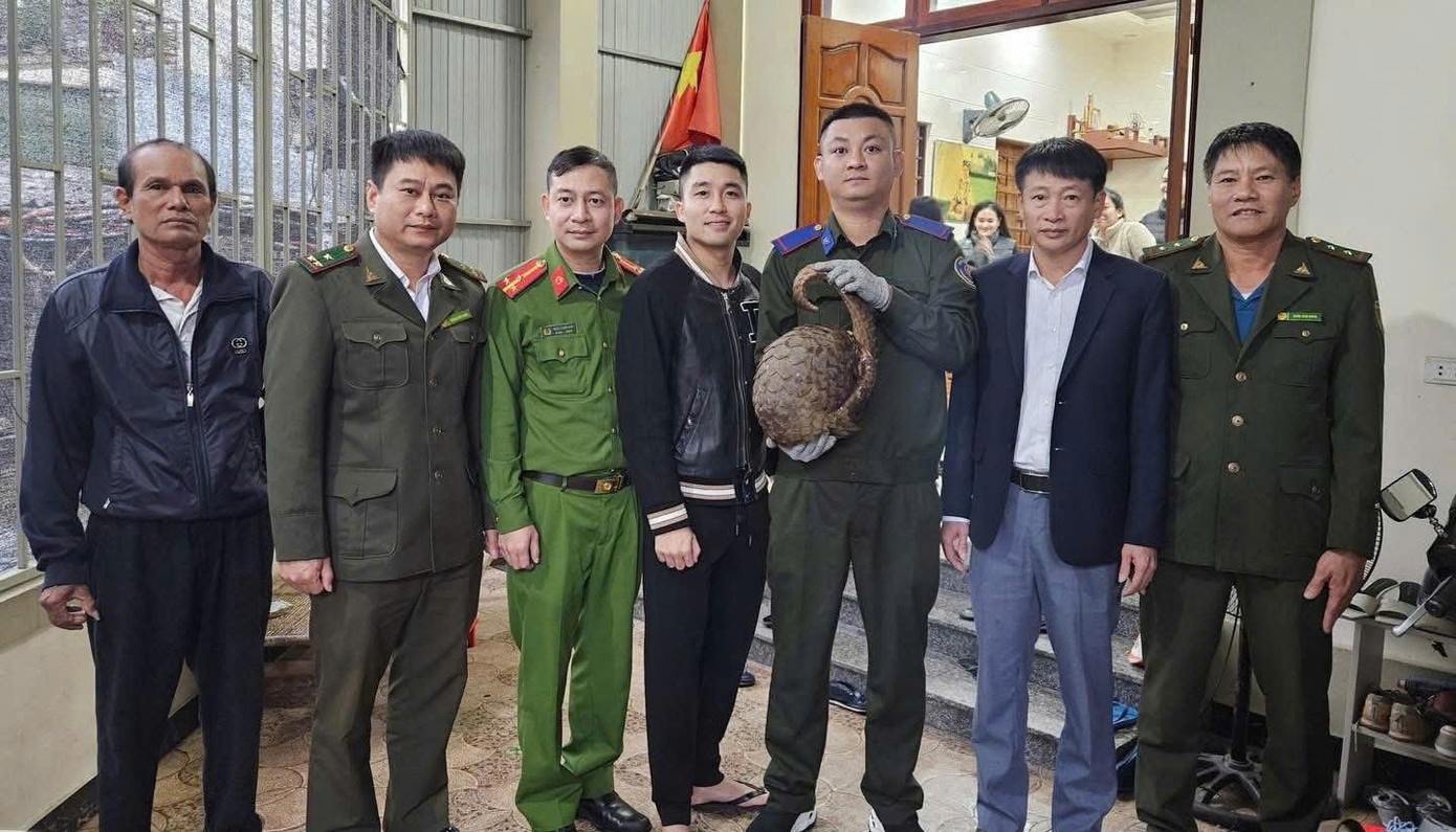 Te te Java quy hiem anh 1