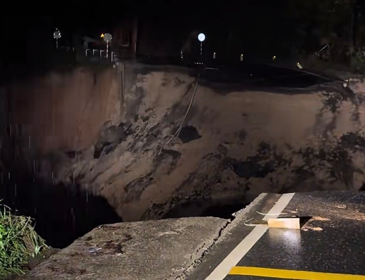 Deo Mimosa gay doi anh 1