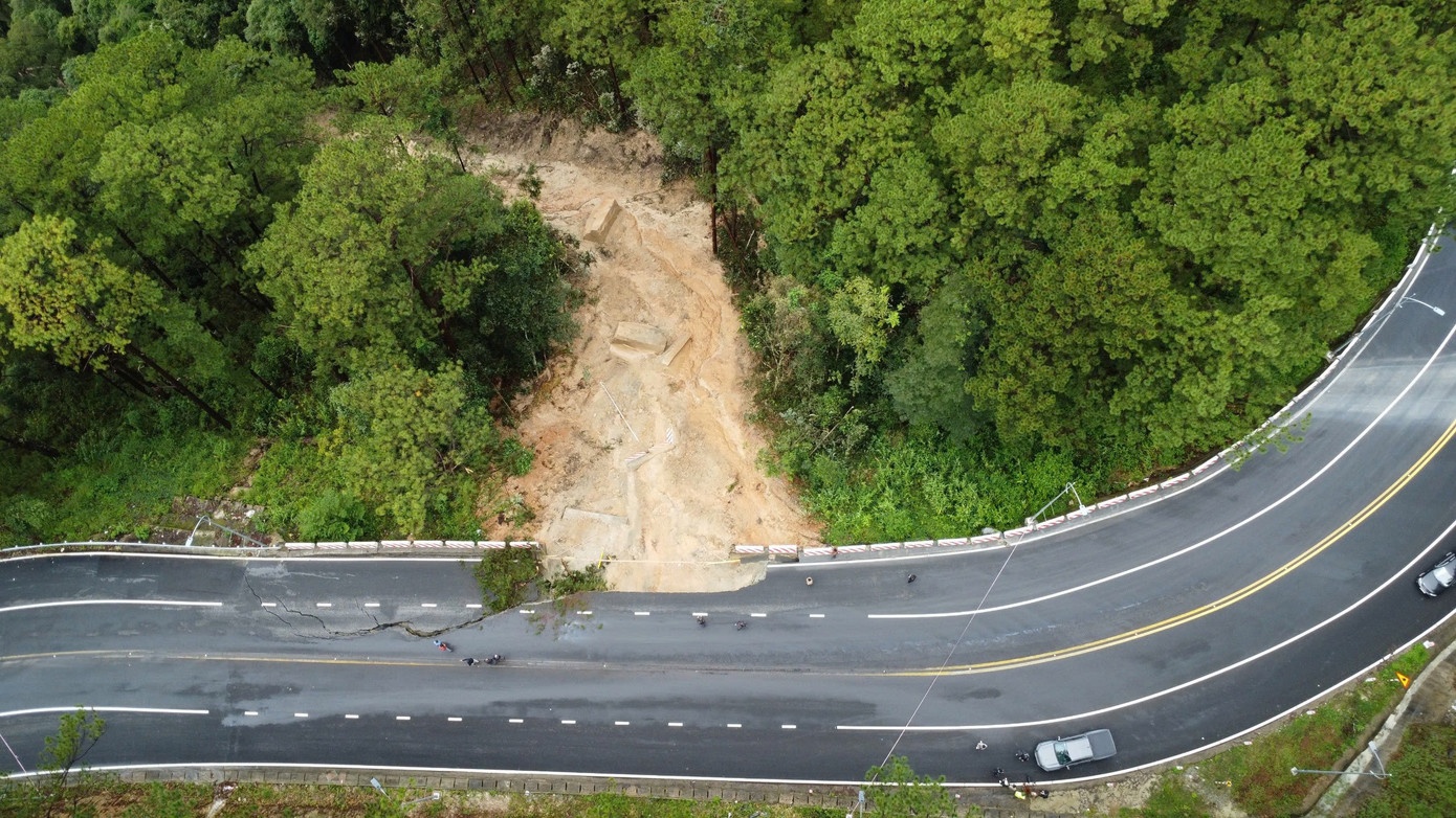 Deo Mimosa gay doi anh 2