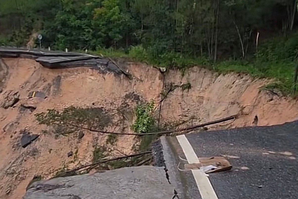 Deo Mimosa gay doi anh 1