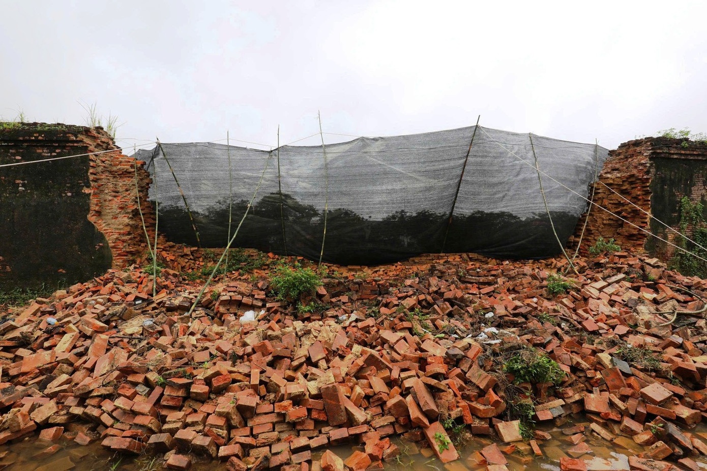 Hoang thanh Hue sut lun anh 1