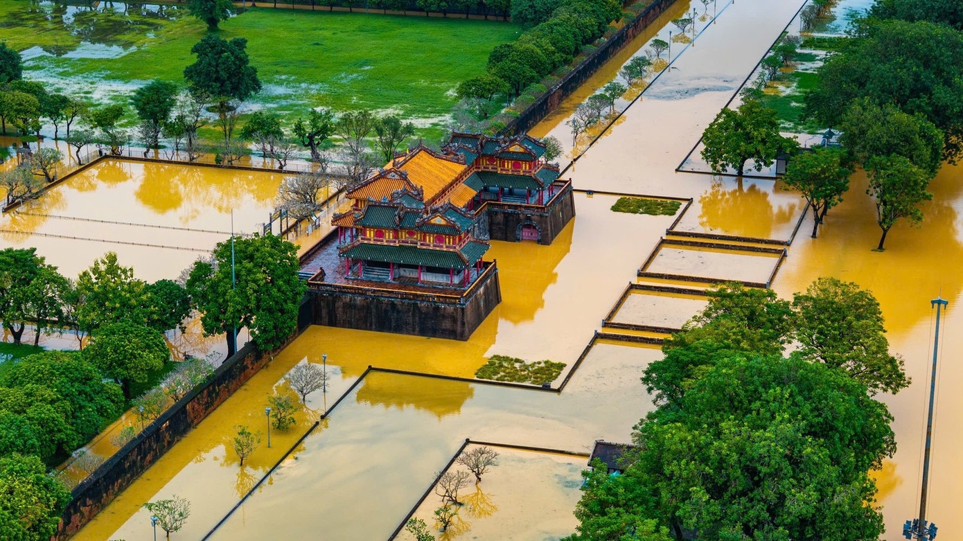 Hoang thanh Hue xuat hien sap lun hinh anh