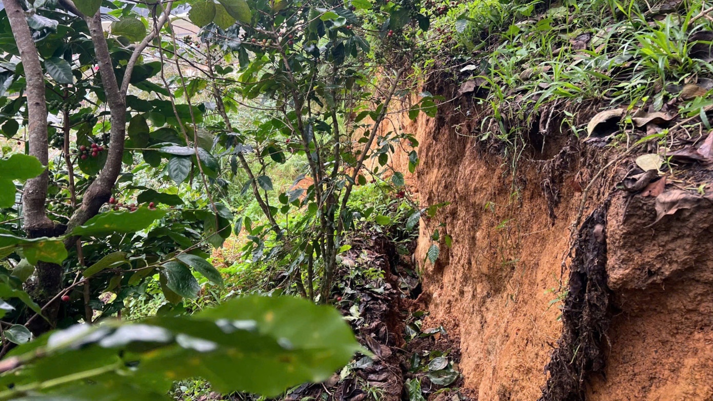 Qua doi o Lam Dong xuat hien vet nut dai hon 100 m hinh anh