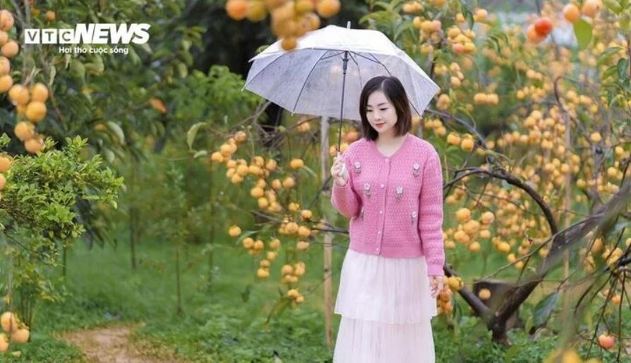 Thoi tiet 26/11 anh 1