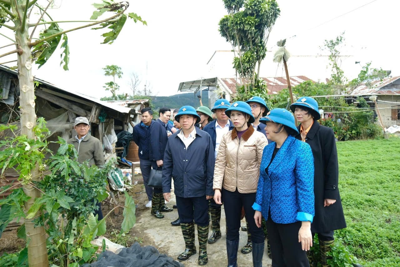 Mat tran To quoc anh 1