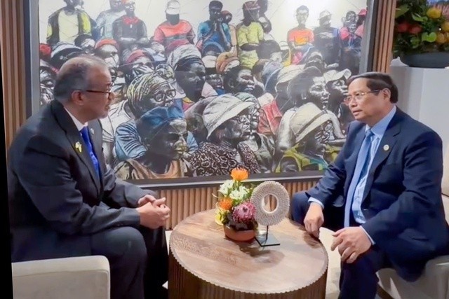 WHO san sang ho tro khan cap giup Viet Nam hinh anh