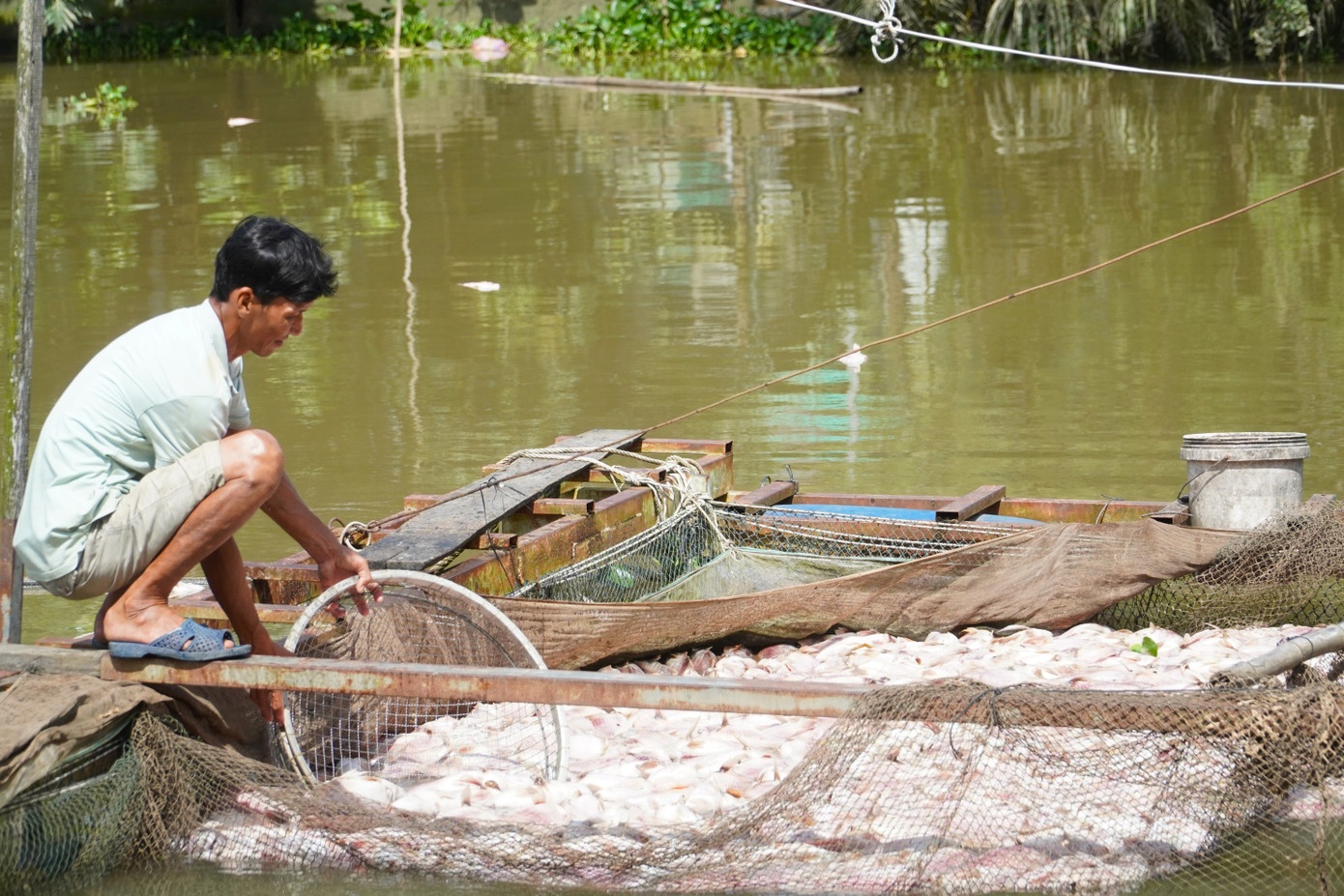 Ca chet Can Tho anh 1