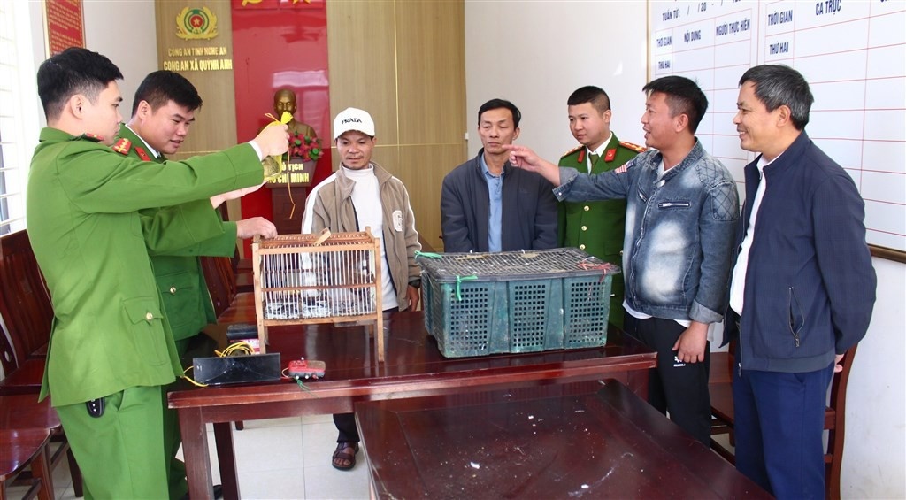 Cu li quy hiem Loricidae anh 1