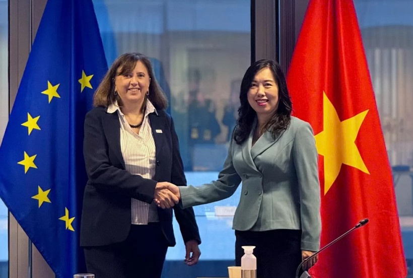 EU ho tro Viet Nam 850.000 euro de khac phuc hau qua lu lut hinh anh