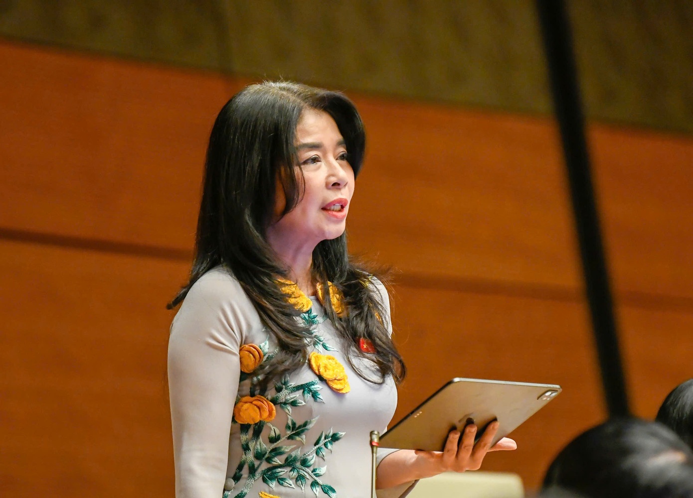 Luat bao chi sua doi anh 1