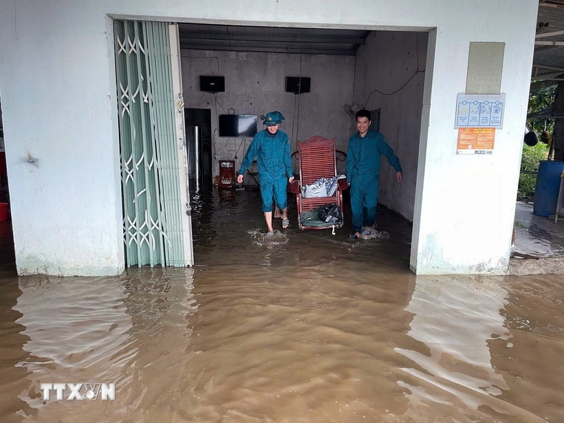 Bao so 15 Koto anh 1