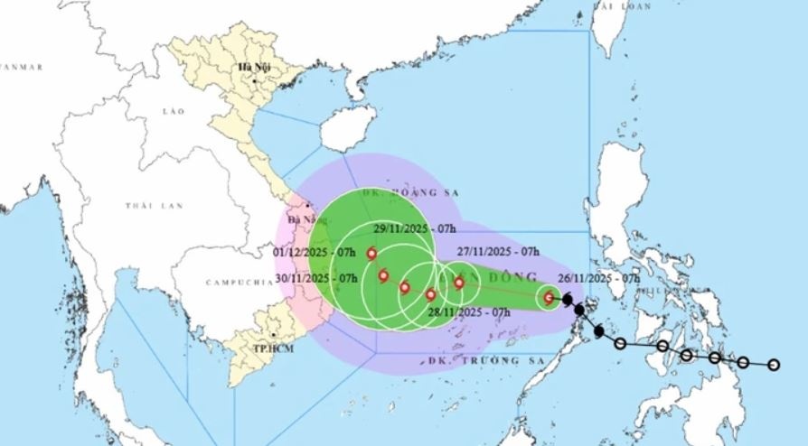 Bao so 15 Koto anh 2