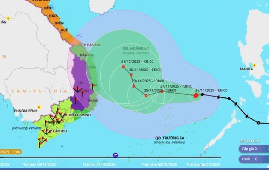 Bao so 15 Koto anh 2