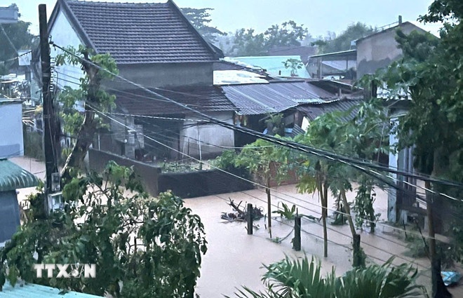 Bao so 15 Koto anh 2