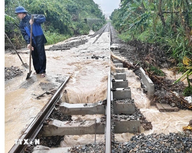 Bao so 15 Koto anh 3