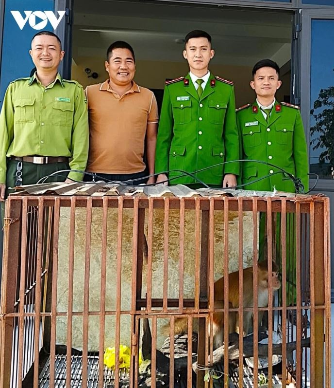 Khi vang quy hiem anh 1