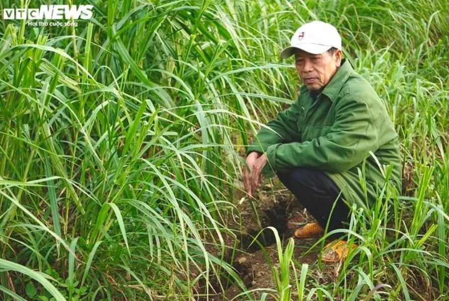 Mua lu Dak Lak anh 5