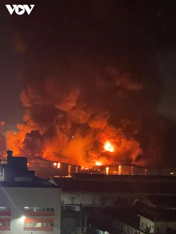 Chay cong ty bim anh 2