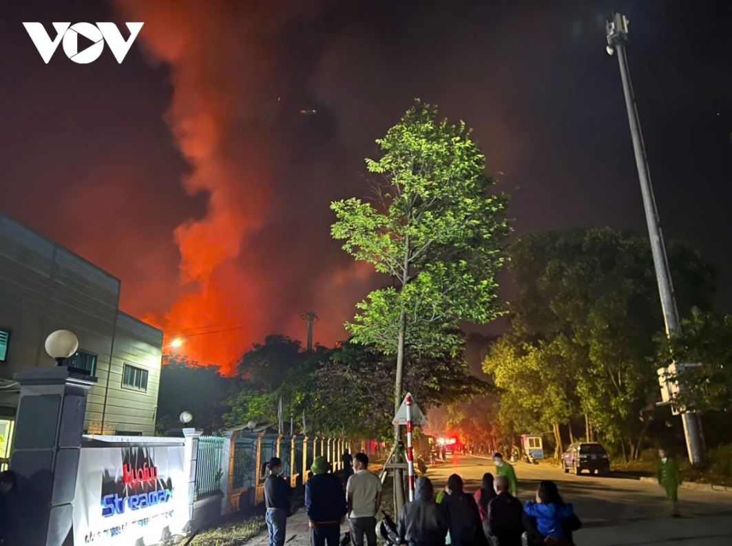 Chay cong ty bim anh 3