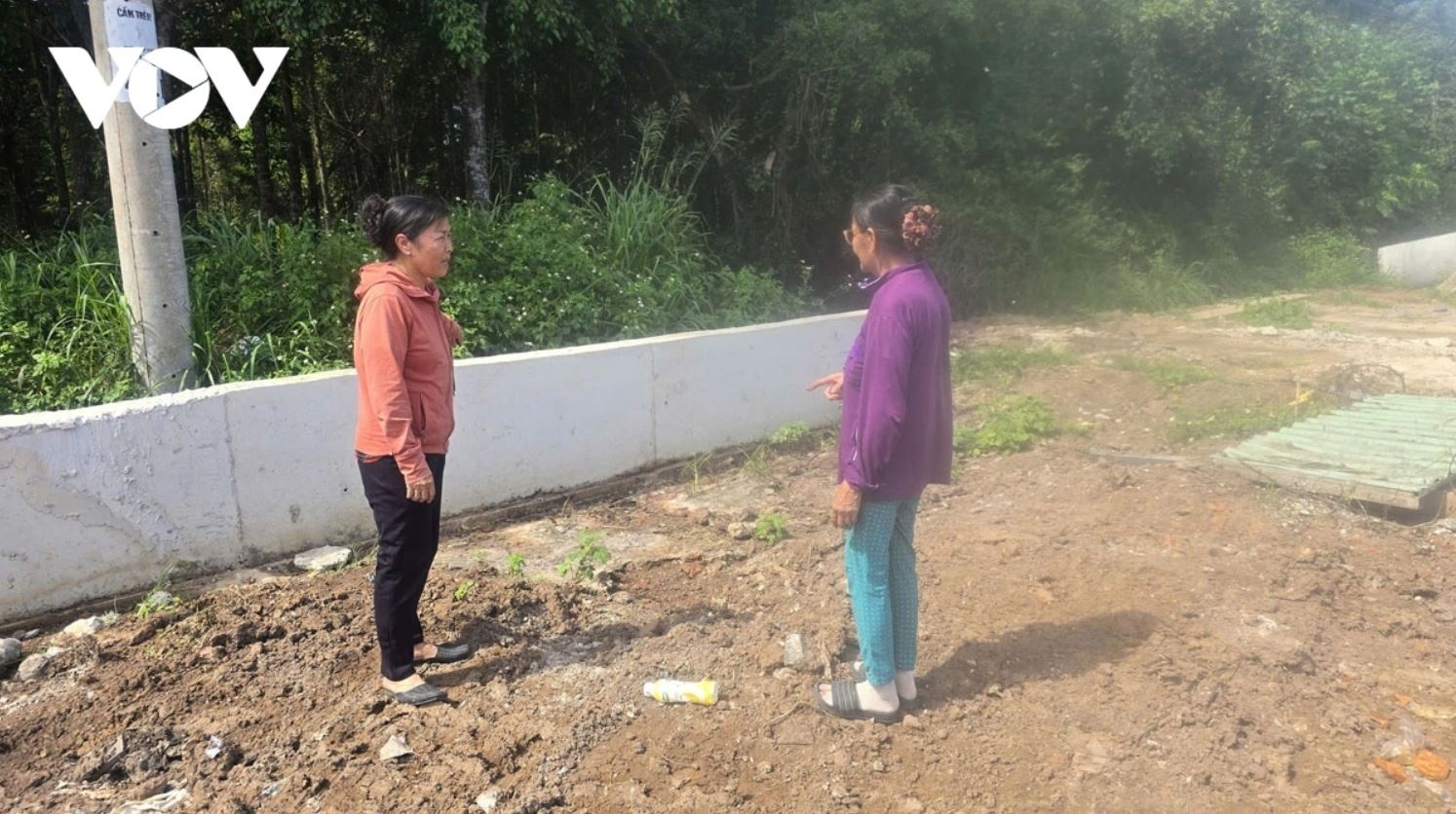 Boi thuong TP.HCM anh 1