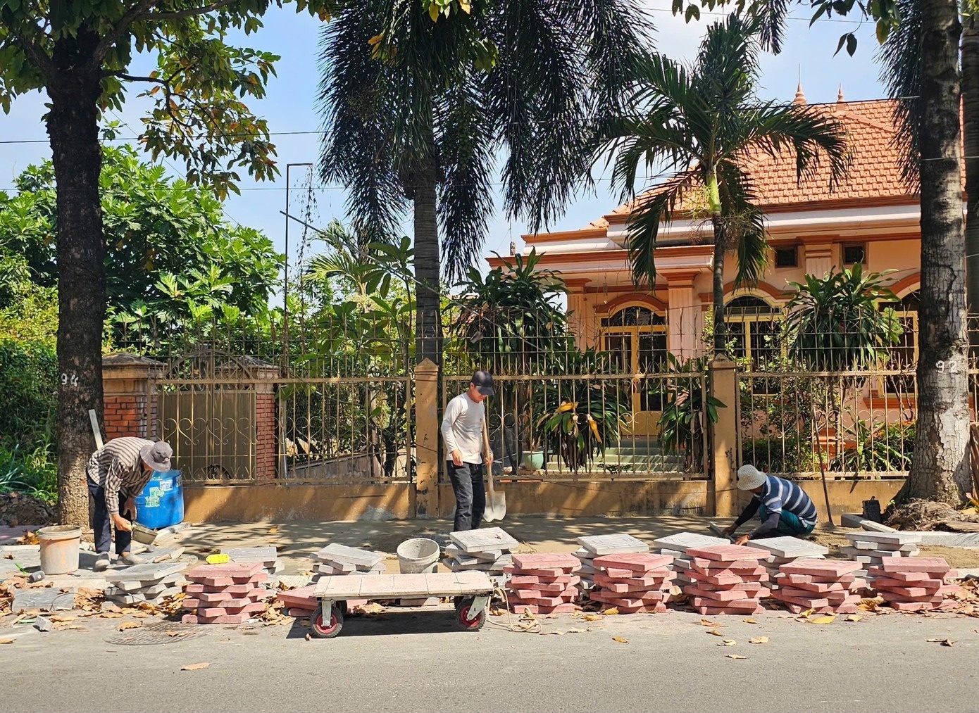 Tran Luu Quang anh 5