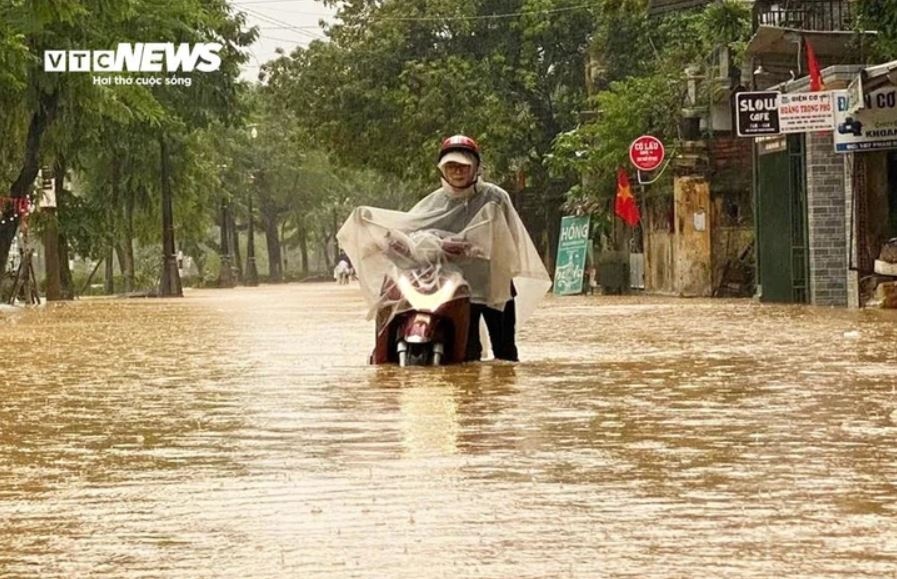 Bao so 15 Koto anh 1