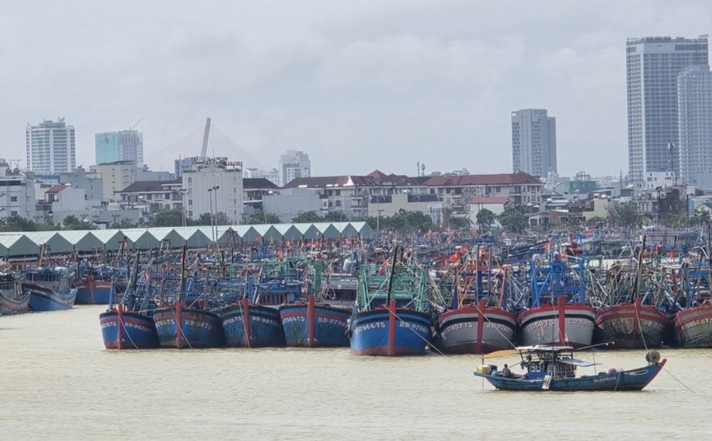 Co the xuat hien 1-2 con bao, ATND tren Bien Dong trong thang 12 hinh anh