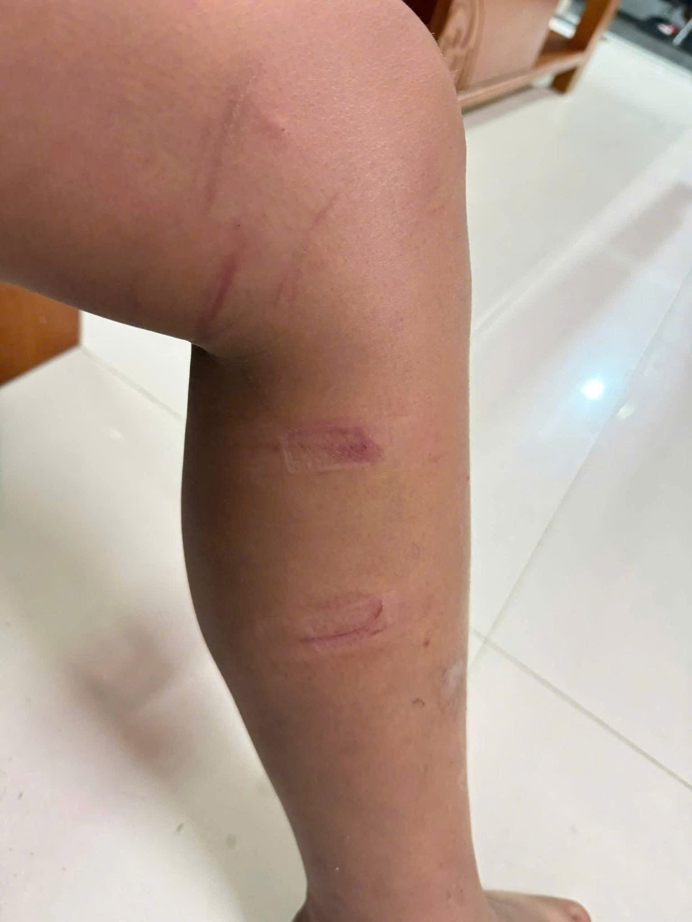 Hanh hung Quang Ngai anh 3