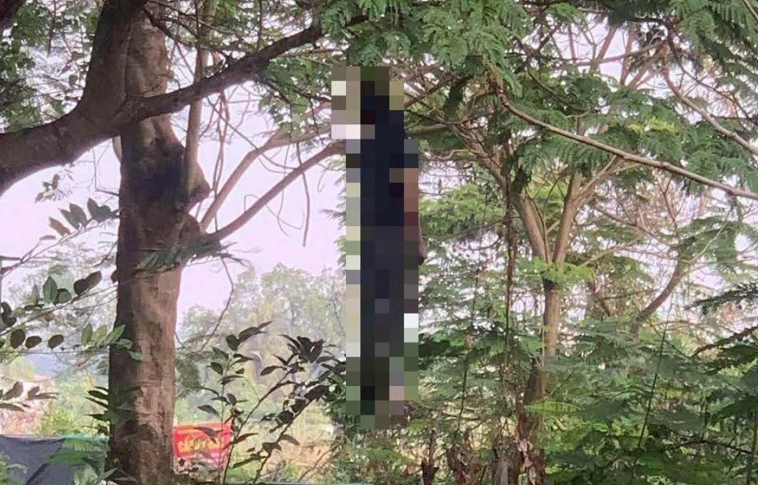 Phat hien thi the nguoi dan ong tren cay ven duong o TP.HCM hinh anh