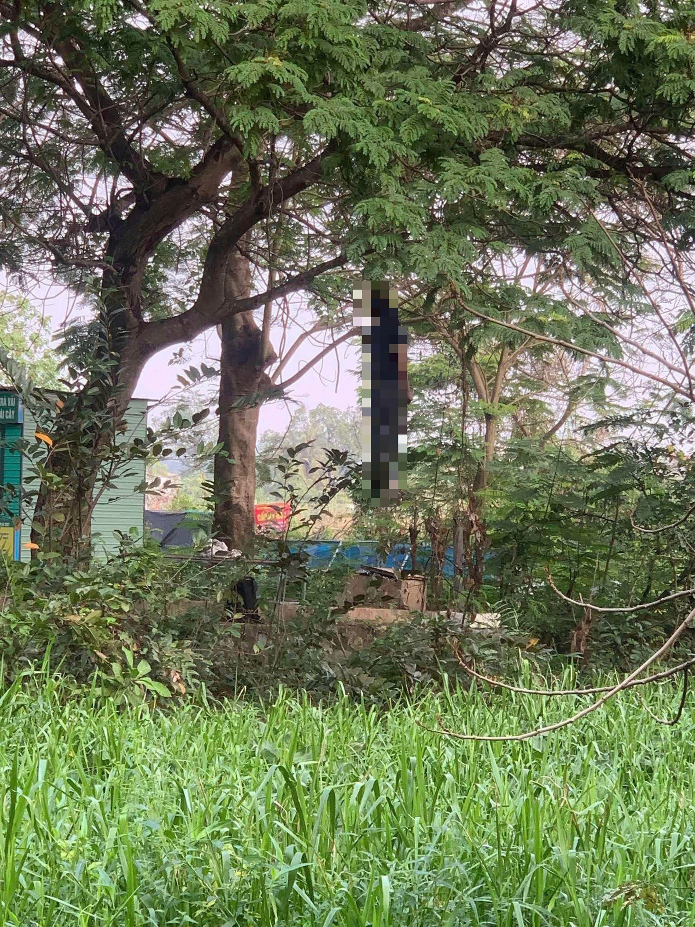 Thi the treo co TP.HCM anh 1