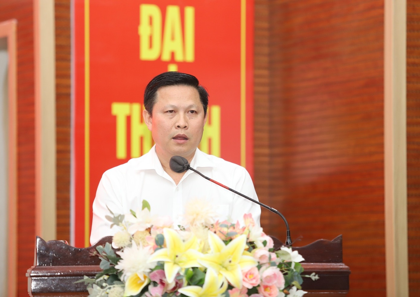 Tran Luu Quang anh 6