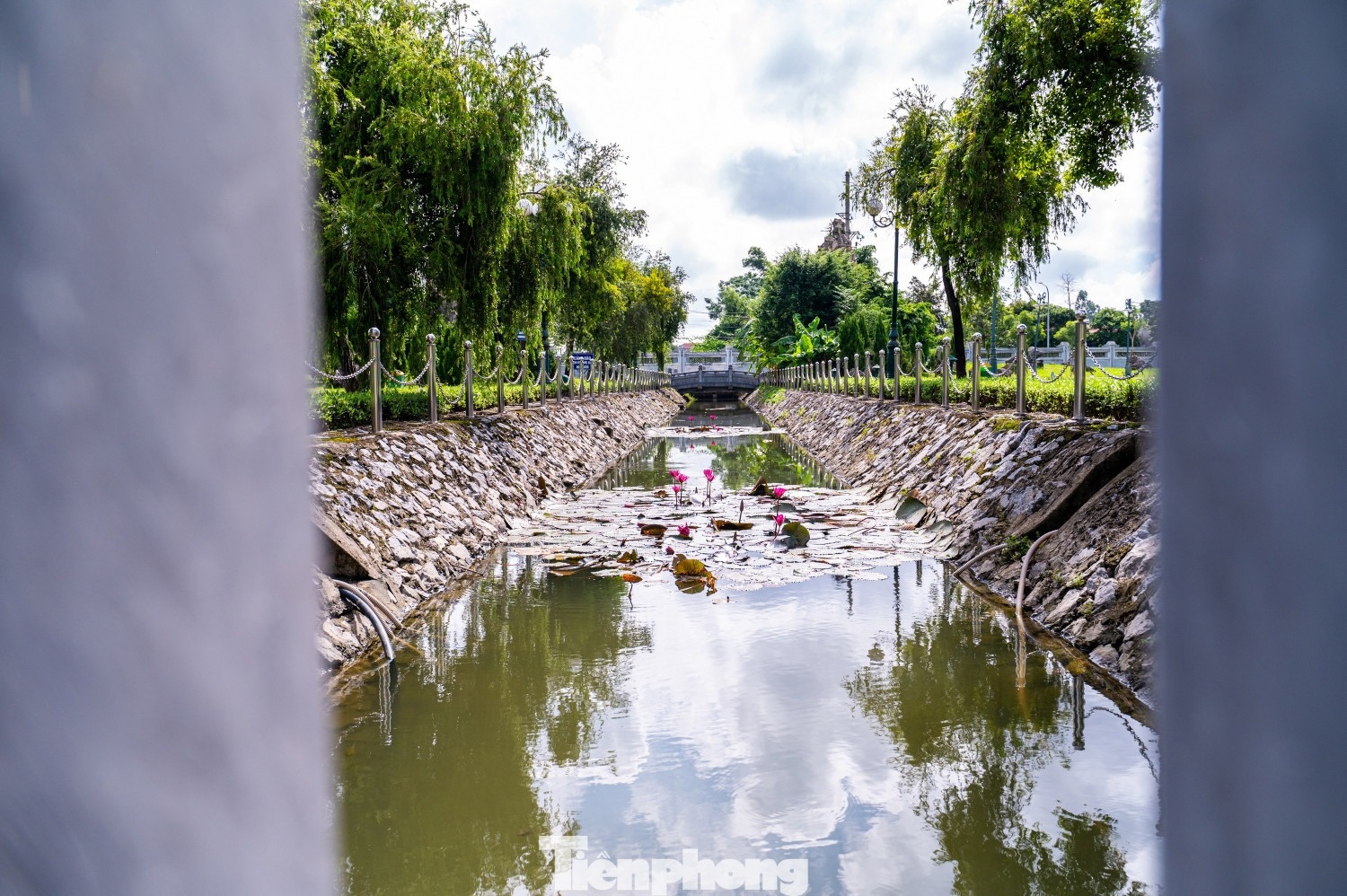 Thanh Xuong Giang anh 5