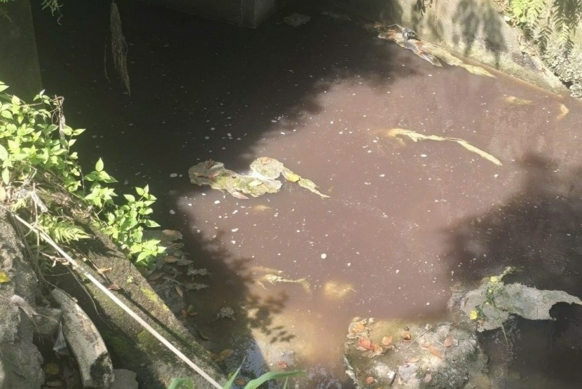 Xac dinh 'thu pham' lam nuoc kenh o Cu Chi doi mau, boc mui hoi hinh anh