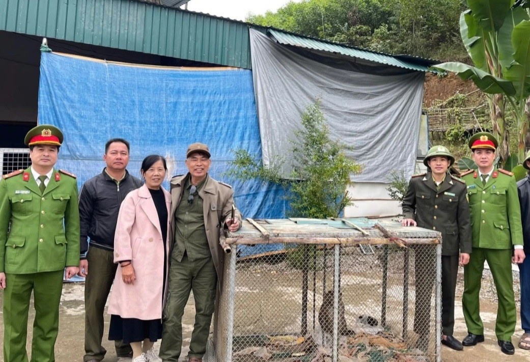 Khi quy hiem Macaca assamensis anh 2