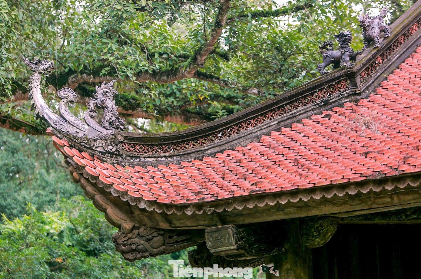 Lam Kinh ảnh 7 Lam Kinh anh 7