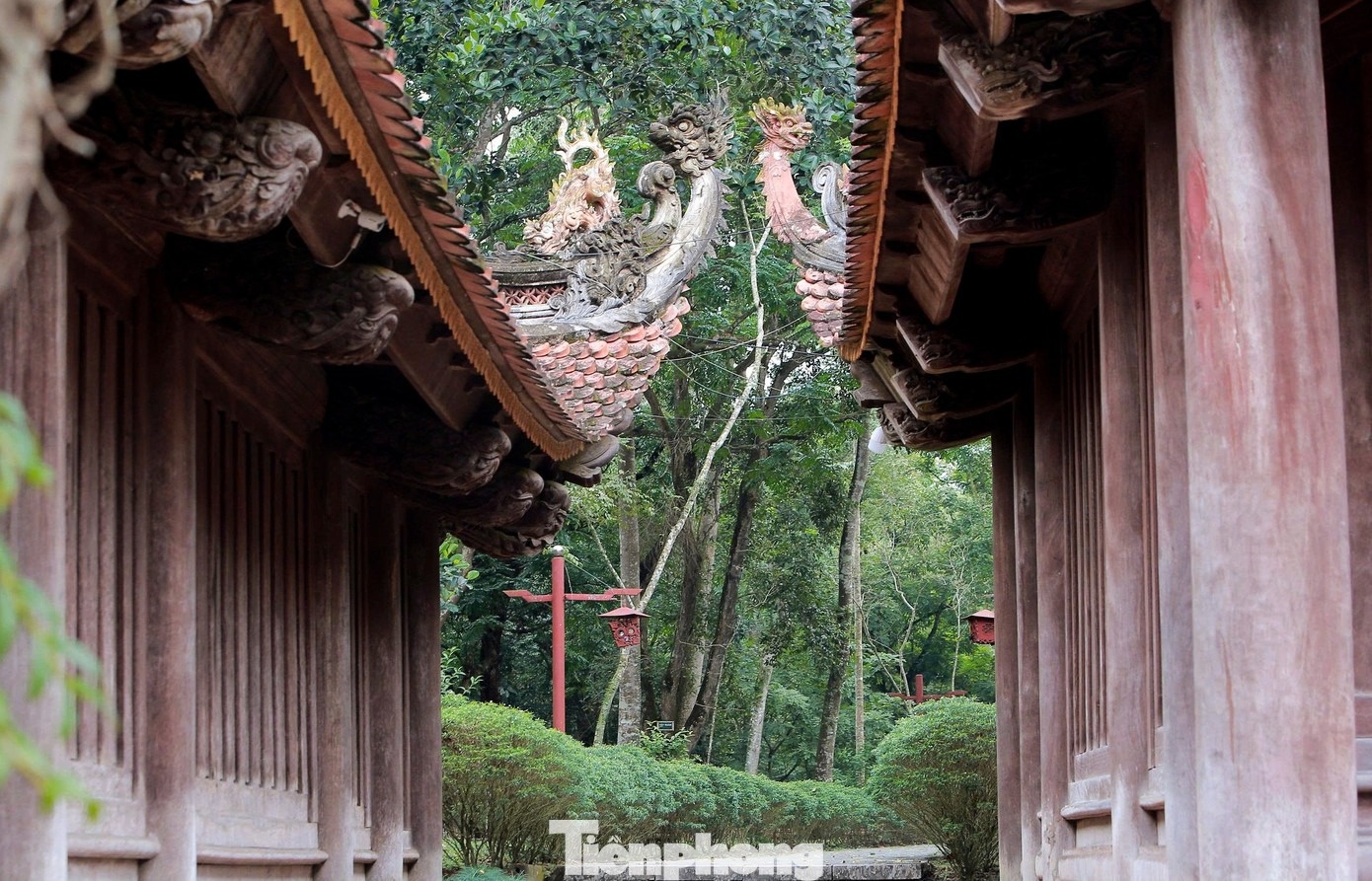 Lam Kinh ảnh 18 Lam Kinh anh 18